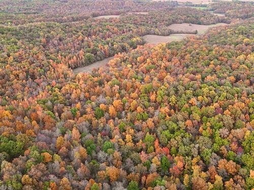 50 Acres For Sale in Burfordvill : Burfordville : Cape Girardeau County : Missouri