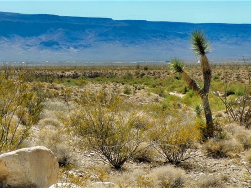 Desert Dreams Await, $199/Month : Yucca : Mohave County : Arizona