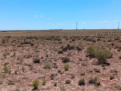 Adjacent Lots Up to 4.24 Acres : Holbrook : Apache County : Arizona