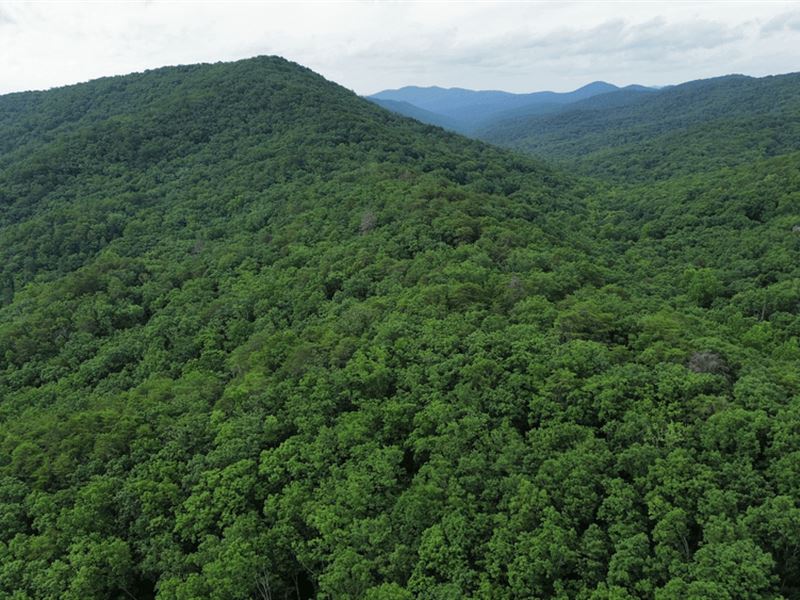 60 Acres in Whitfield County, Georg : Rocky Face : Whitfield County : Georgia