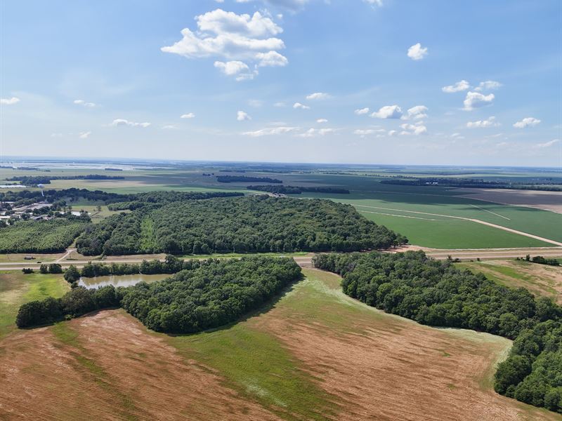 51.3 Acres of Farmland in Leflore : Itta Bena : Leflore County : Mississippi