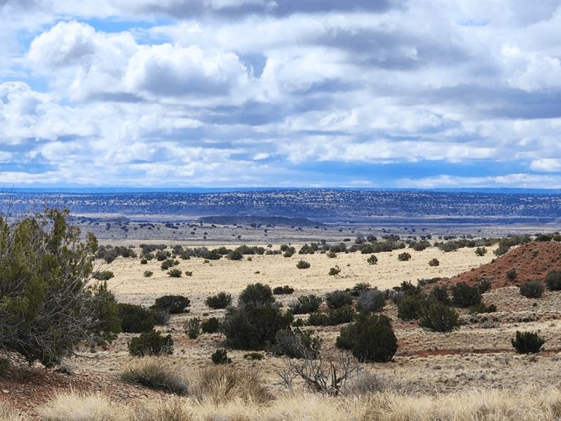 Wide Open Wonder : Chambers : Apache County : Arizona