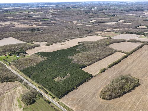 259 Acres Eau Claire County : Eleva : Eau Claire County : Wisconsin