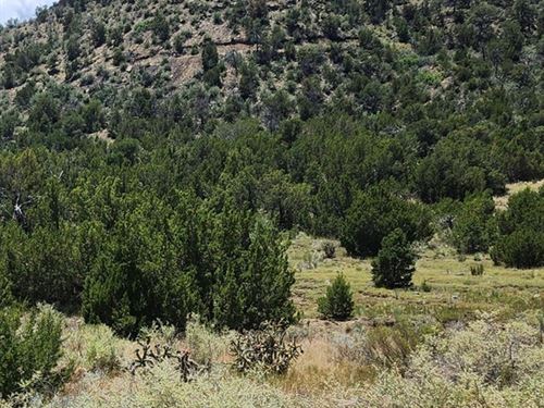 W North Ave, Trinidad, Co 81082 : Trinidad : Las Animas County : Colorado