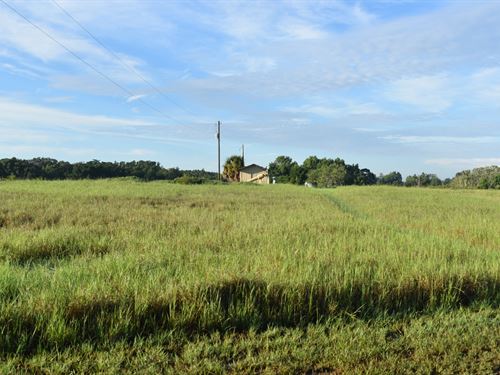 Lake County Land Invest & Ranch : Groveland : Lake County : Florida