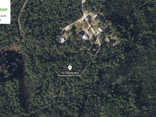Huge Wooded Lot Near Margaret Lake : Pomo : Putnam County : Florida