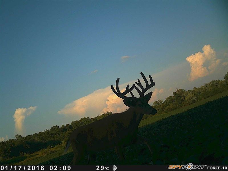 Hunting/With Good Income : Milan : Sullivan County : Missouri