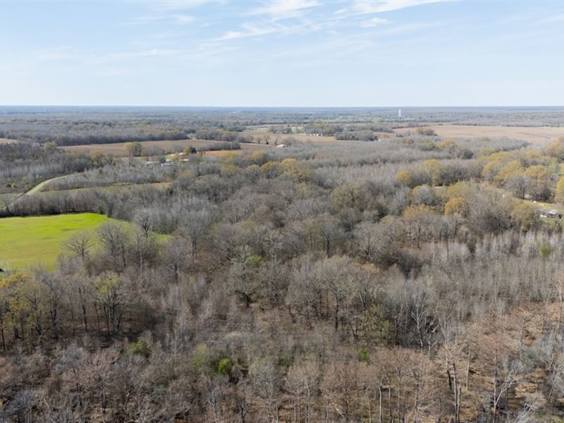 Chickasaw Loop Rd : Oak Grove : West Carroll Parish : Louisiana