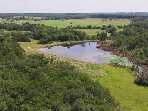 60 Acres in Milam County : Milano : Milam County : Texas
