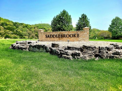 Village Beauty : Saddlebrooke : Christian County : Missouri