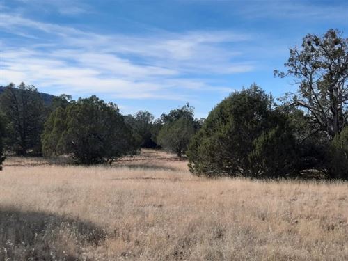 Seligman Land Steal, $175-$350/Mo : Seligman : Yavapai County : Arizona