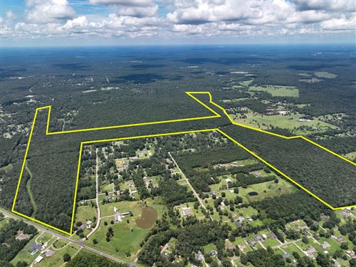 195 Acres FM 1132 : Vidor : Orange County : Texas