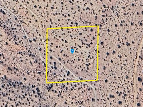 Scenic Land for $251.74 Down : Boron : Kern County : California