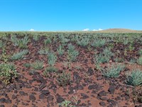 1.25 Acres in Concho Lakeland : Concho : Apache County : Arizona