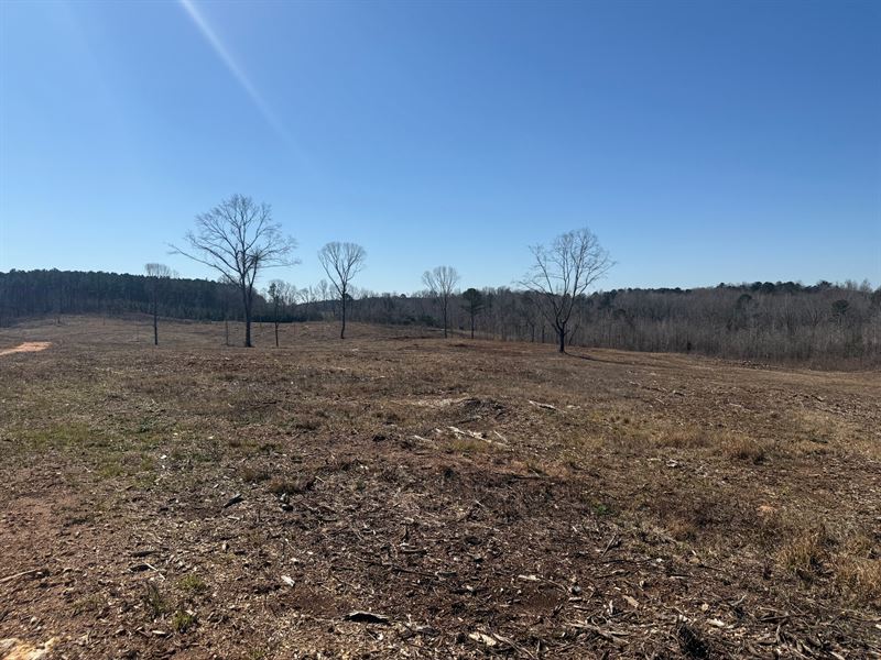135 Ac with Pond : Rockford : Coosa County : Alabama