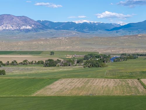 Silver Tip Farms : Belfry : Carbon County : Montana