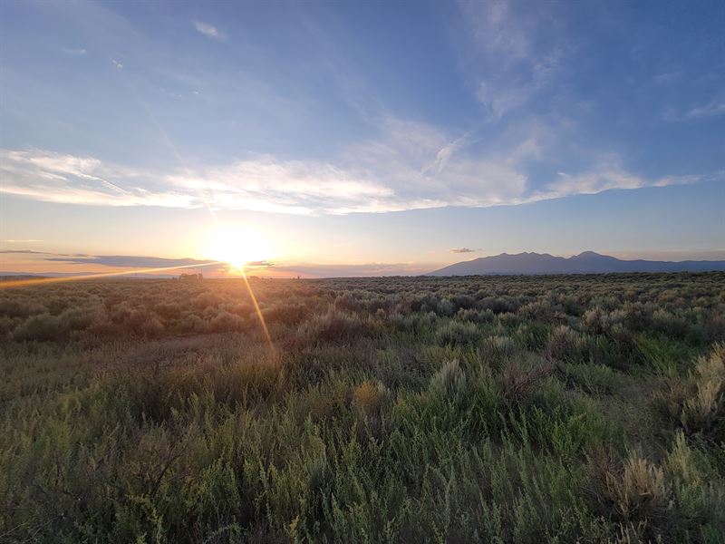 Direct Road, Great for Camping : Fort Garland : Costilla County : Colorado