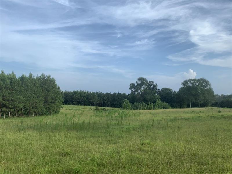 2101 Hampton Road : Liberty : Amite County : Mississippi
