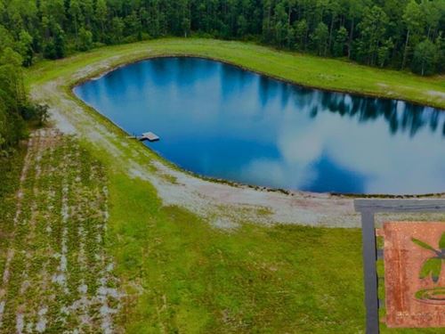 Brandy Branch Lot 1 : Bryceville : Nassau County : Florida