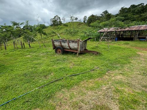 Spectacular and Beautiful Farm : Costa Rica