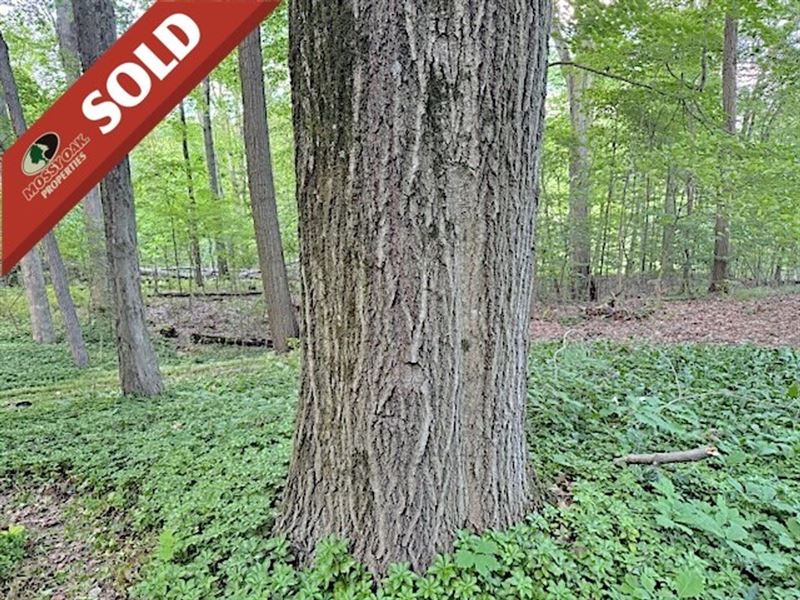 SR 14, 76 Acres, Portage County : Ravenna : Portage County : Ohio