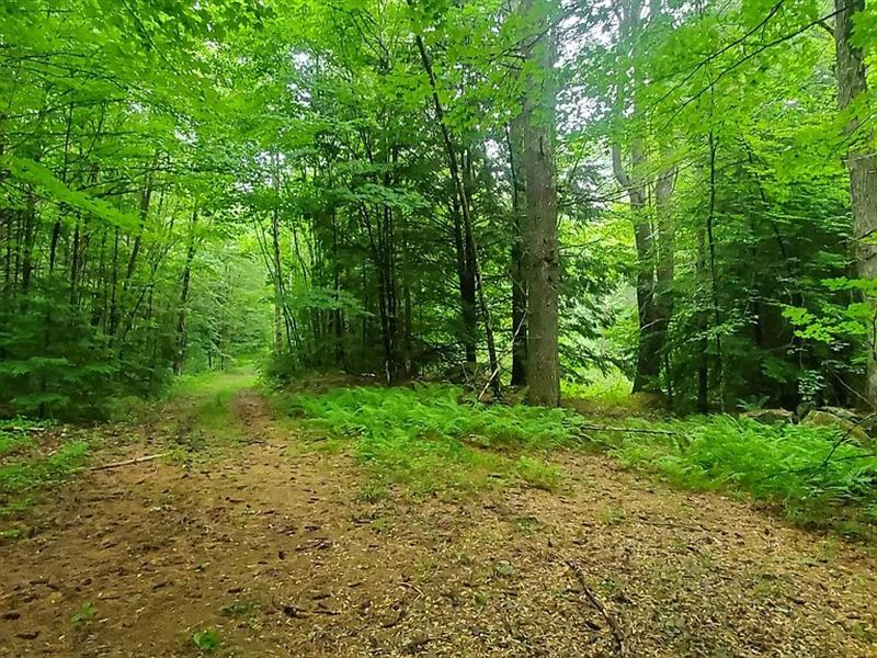 159.1 Acres in Richmond, NH : Richmond : Cheshire County : New Hampshire