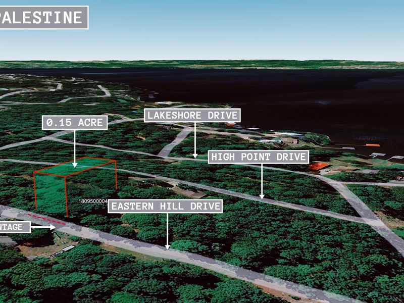 .15 Acre in Flint, $200 a Month : Flint : Smith County : Texas