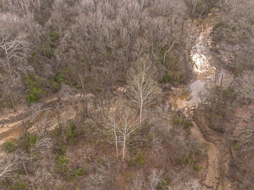 Timber And Hunting Near Jackson : Byram : Hinds County : Mississippi