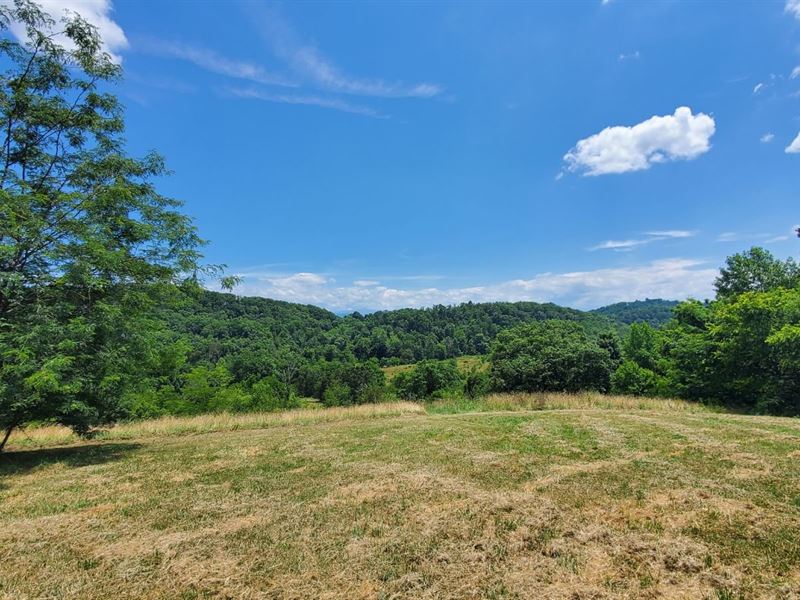 62 Acres Outside Knoxville TN : Jefferson City : Jefferson County : Tennessee