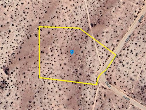 Perfect Hideaway Lot, $255.13 Down : California City : Kern County : California