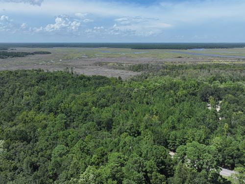 Marshfront Acreage, McIntosh County : Townsend : McIntosh County : Georgia