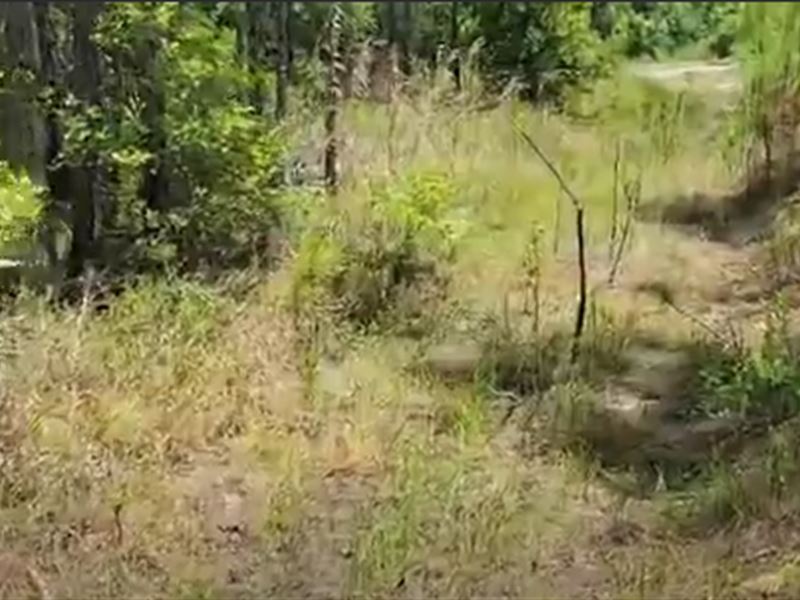 104 NW 1st Ave in Palatka : Palatka : Putnam County : Florida