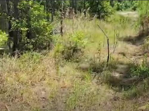 104 NW 1st Ave in Palatka : Palatka : Putnam County : Florida