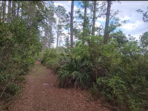 Your 5 Properties in Crescent City : Crescent City : Putnam County : Florida