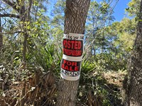 821 Theresa Ave on a Paved Road : Interlachen : Putnam County : Florida