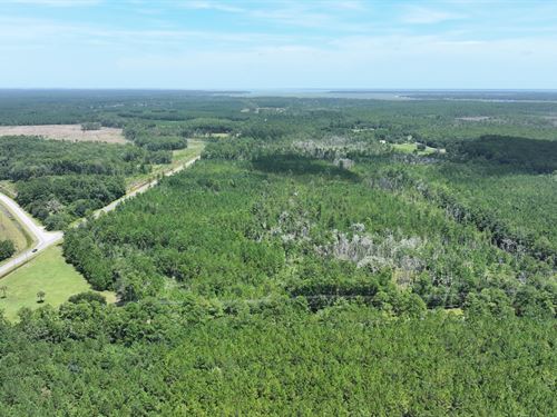 430 Dev Ac in McIntosh County, GA : Townsend : McIntosh County : Georgia