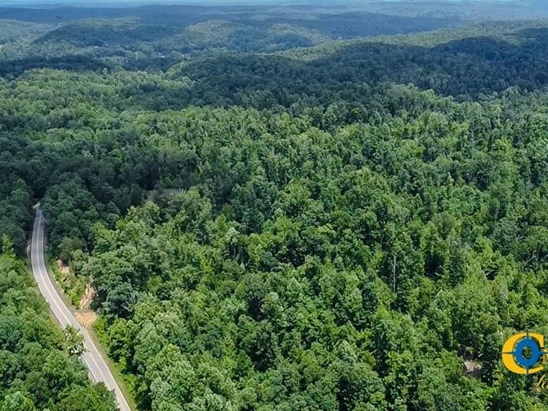 Elder Tract North : Linden : Perry County : Tennessee