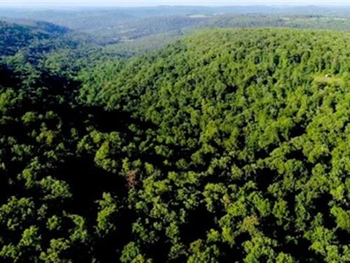 Treed Lot for Building or Investing : Huntsville : Madison County : Arkansas