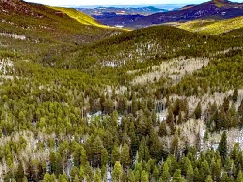 Rocky Mountain Lot, Idaho Springs : Idaho Springs : Idaho County : Idaho