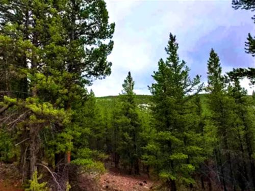 10.33 Acres Mountain Hunting Land : Gunnison : Colorado