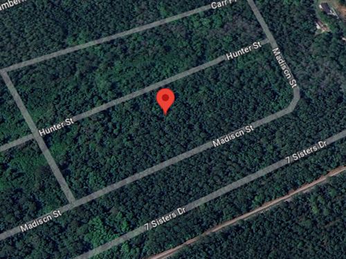 Hunter St Lot on a Sloped Land : Interlachen : Putnam County : Florida