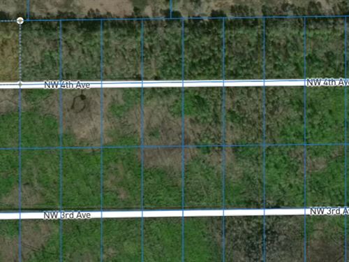 138 NW 4th Ave 1+ Acre in Palatka : Palatka : Putnam County : Florida