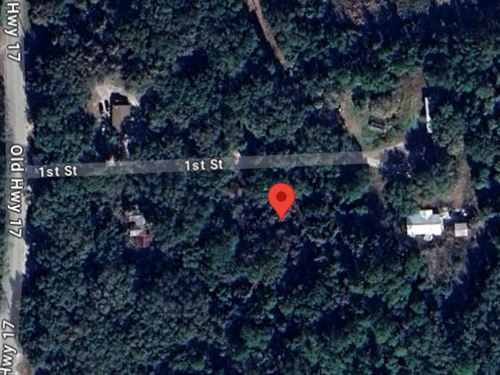 127 1st St On A Wide-Spaced Lot : Crescent City : Putnam County : Florida