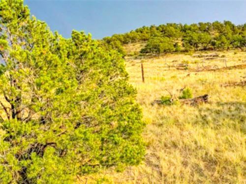 Affordable Mountain Getaways : Cotopaxi : Fremont County : Colorado