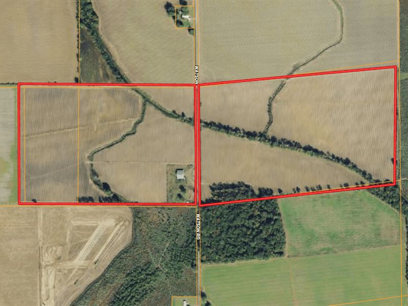 La, Richland 126 Acres : Holly Ridge : Richland Parish : Louisiana
