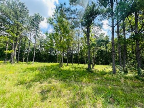 1.9 Acres, Tylertown, MS : Tylertown : Walthall County : Mississippi