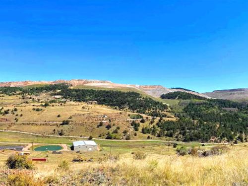 .72 Acre to Develop or Invest : Cripple Creek : Teller County : Colorado