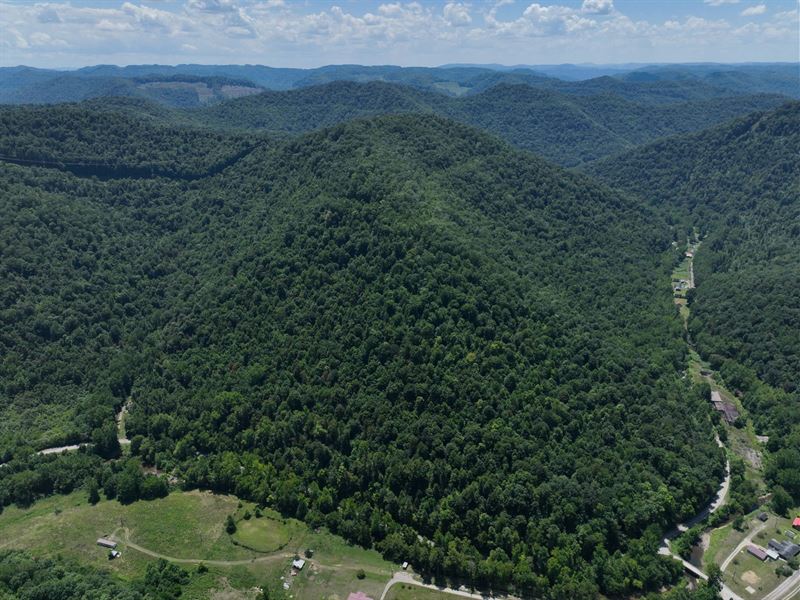 73.67 Acres in Nicholas County, WV : Belva : Nicholas County : West Virginia