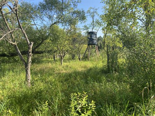 Livingston County 15 Acres : Pinckney : Livingston County : Michigan