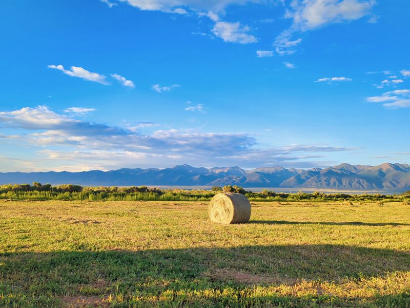 Farm with Water Well & Irrigation : Moffat : Saguache County : Colorado